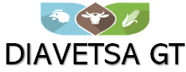 DIAVETSA GT