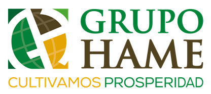 Logo de Grupo HAME